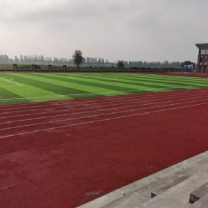 鱼台第三实验小学田径场