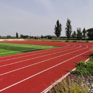 鱼台王鲁镇宋庄小学田径场