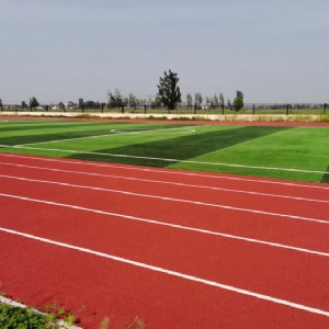 鱼台王鲁镇宋庄小学田径场