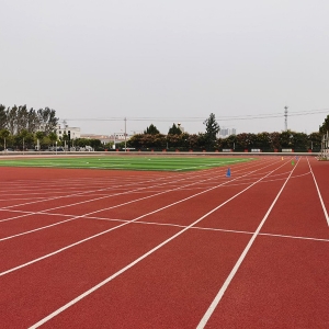 鱼台县运河实验小学