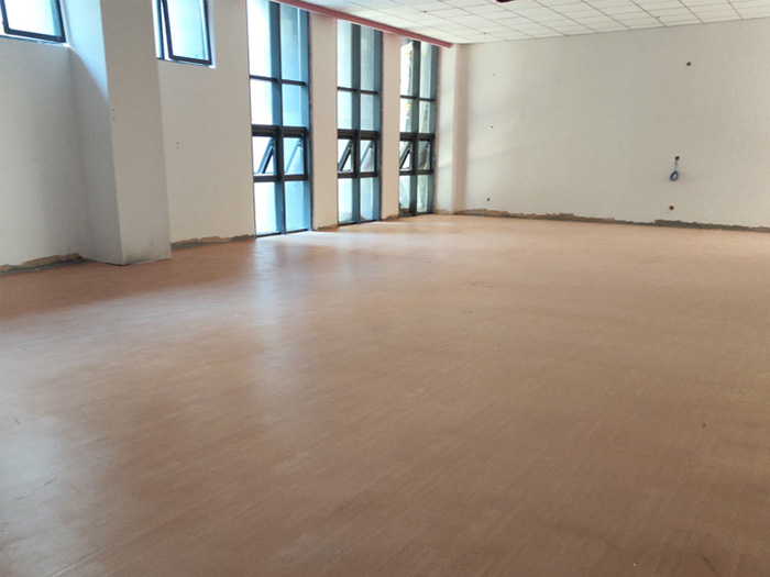 山东理工学院鱼台高端学院形体训练室pvc运动地板