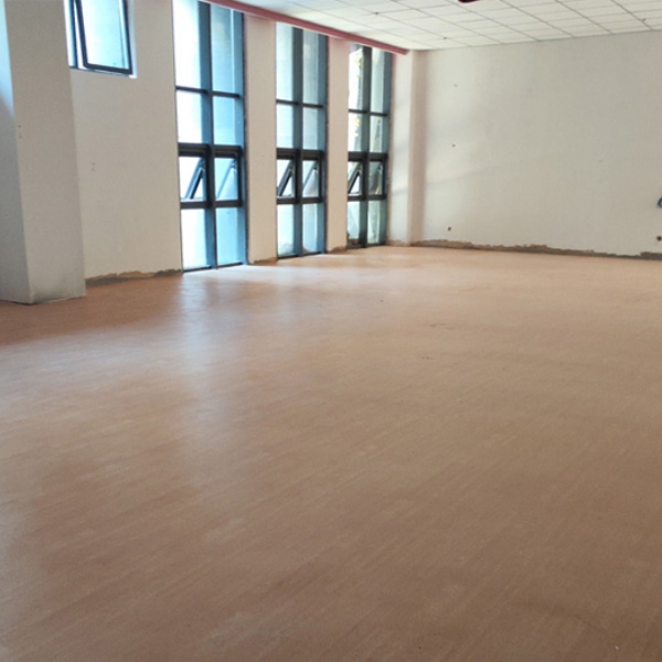 山东理工鱼台高端学院训练室pvc运动地板