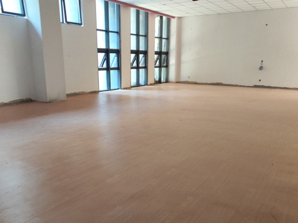 山东理工鱼台高端学院训练室pvc运动地板