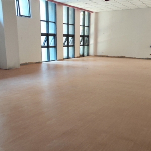 山东理工鱼台高端学院训练室pvc运动地板